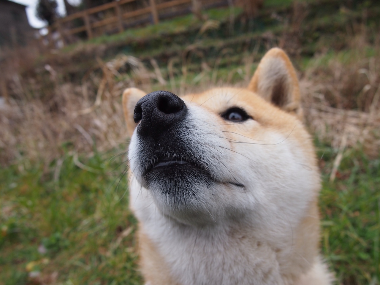 青少年滑板巡回赛天津站落幕精彩不断，2020年滑板比赛