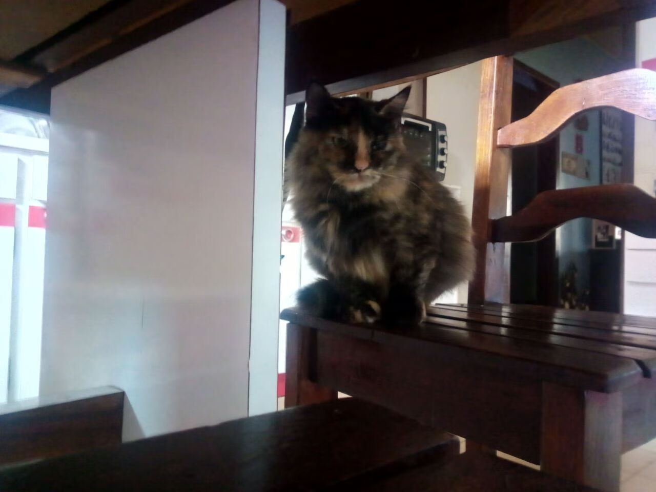 战术灵活性增强,组合打法丰富,战术技巧