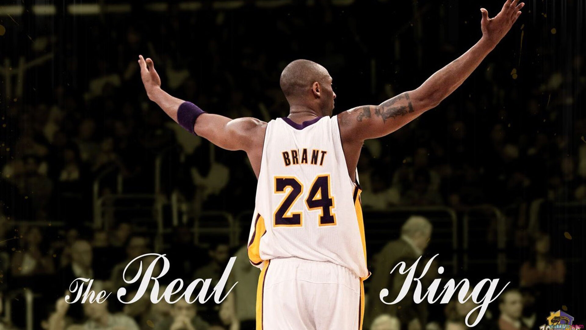 电竞赛事赞助商数量增加,电竞赞助商分类